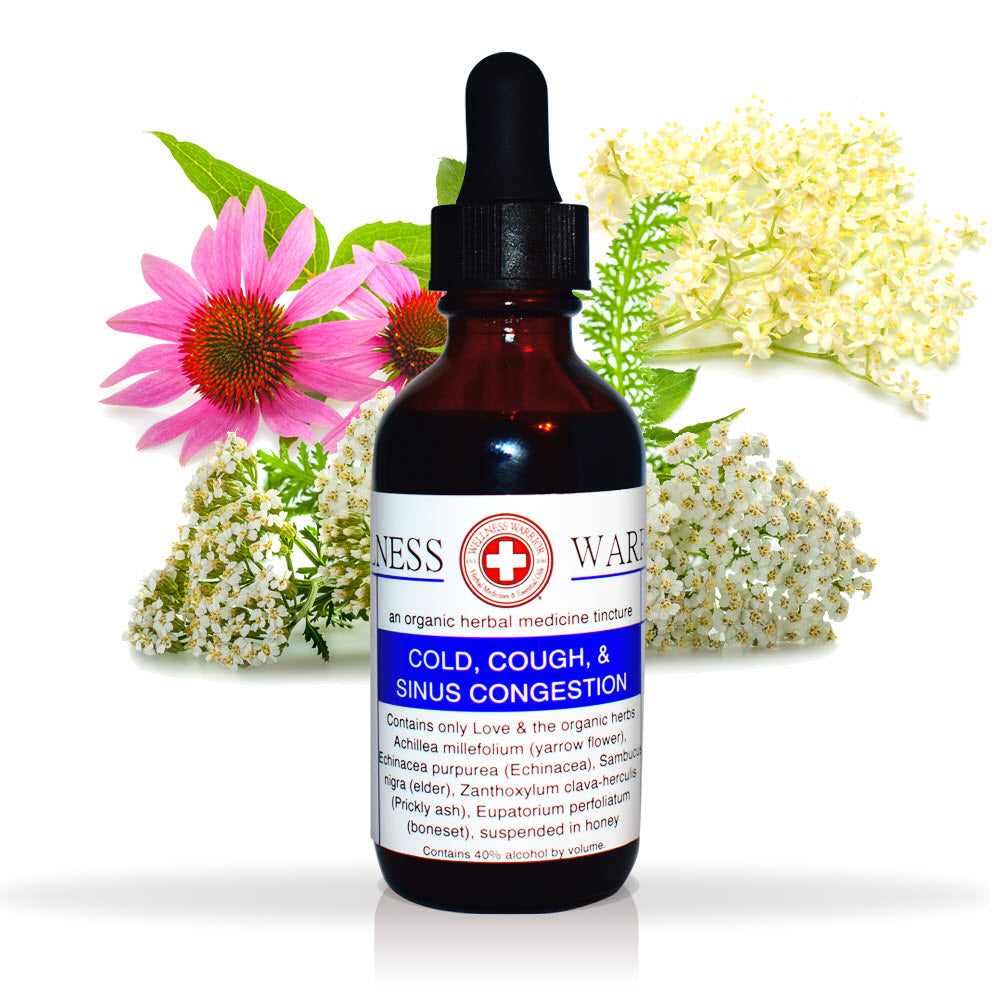 Cough, Cold, & Flu Relief - Herbal Tincture