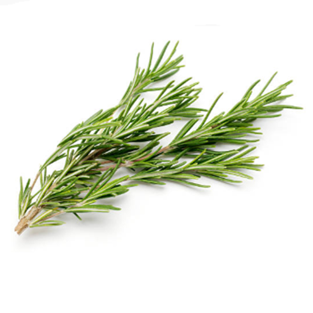 Rosemary Dried Herb