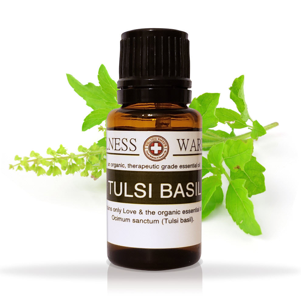 Basil, Holy, Tulsi Essential Oil